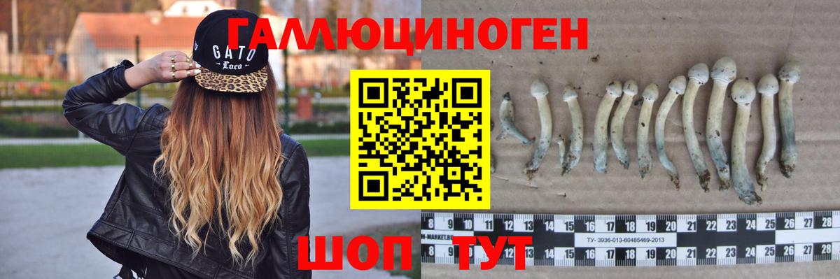 где купить наркотик  Псилоцибиновые грибы Magic Shrooms  Вход с VPN  Конаково 